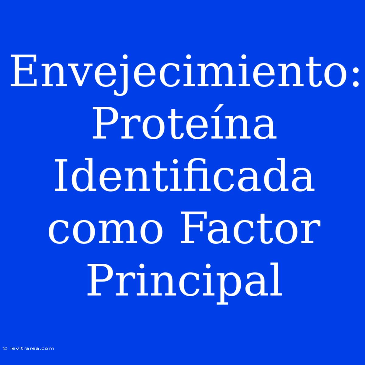 Envejecimiento: Proteína Identificada Como Factor Principal