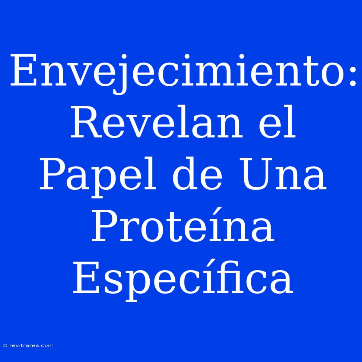 Envejecimiento: Revelan El Papel De Una Proteína Específica