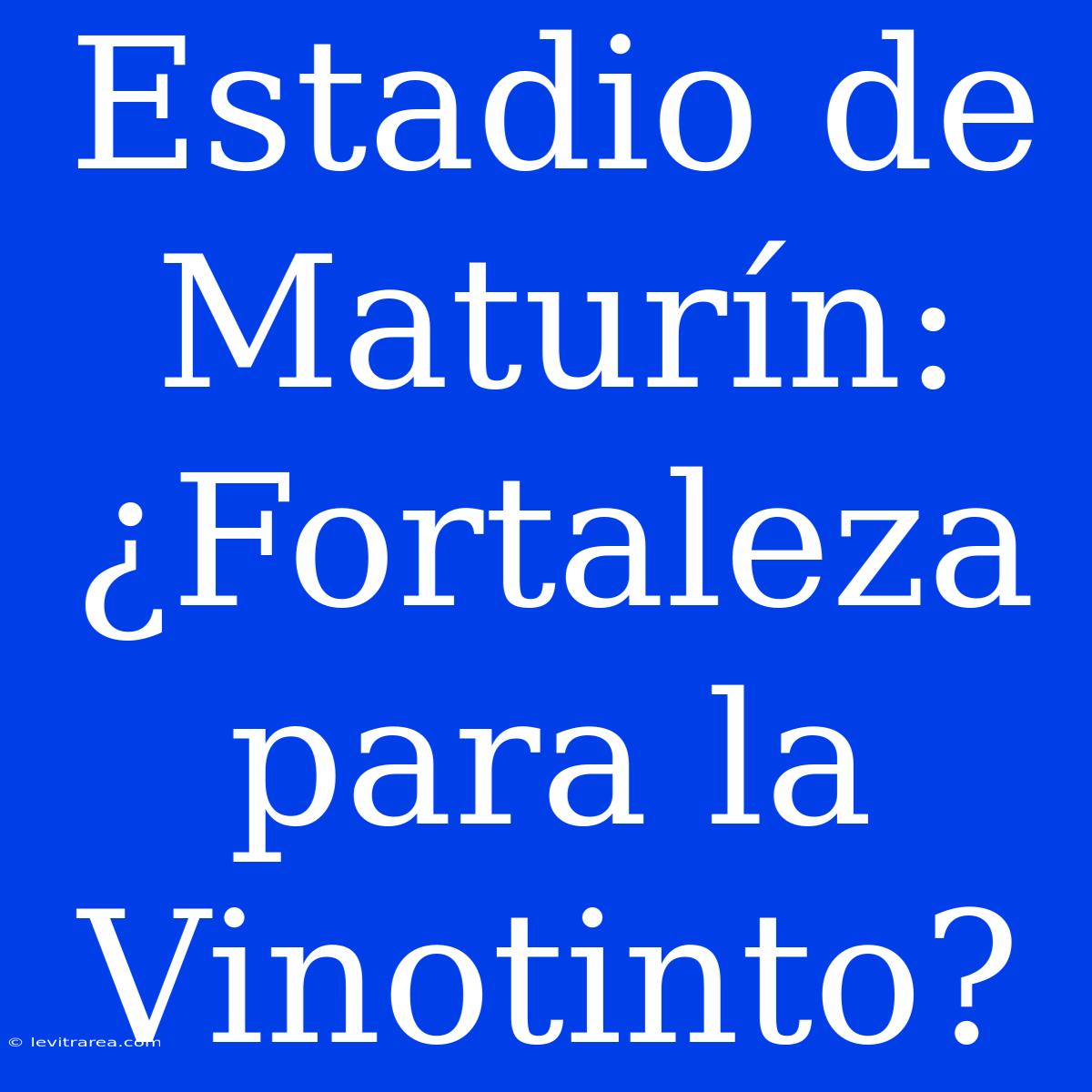 Estadio De Maturín: ¿Fortaleza Para La Vinotinto?