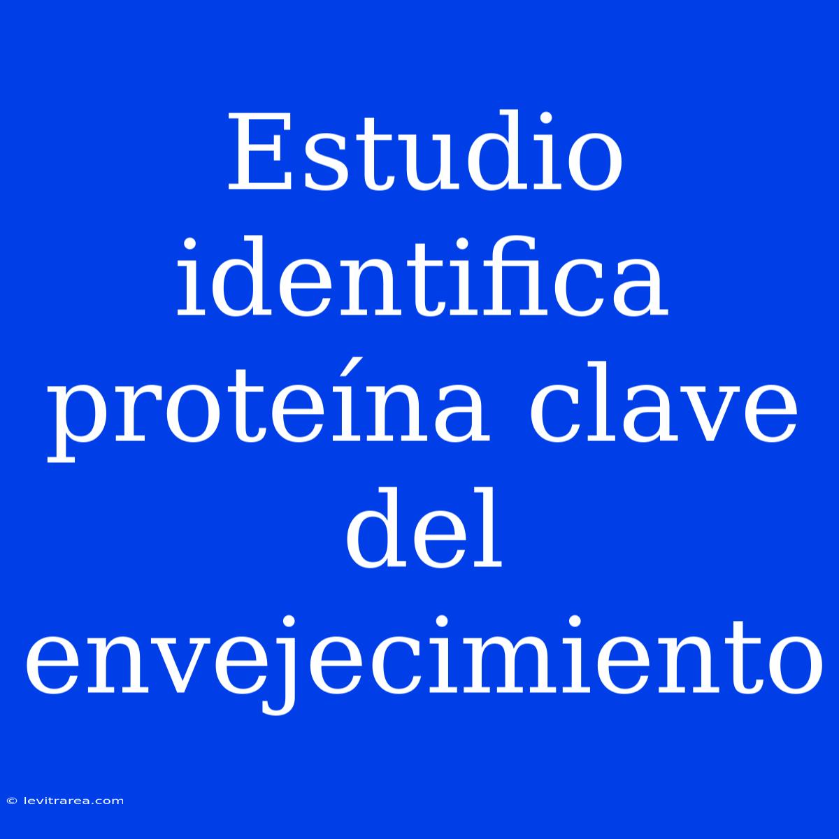 Estudio Identifica Proteína Clave Del Envejecimiento