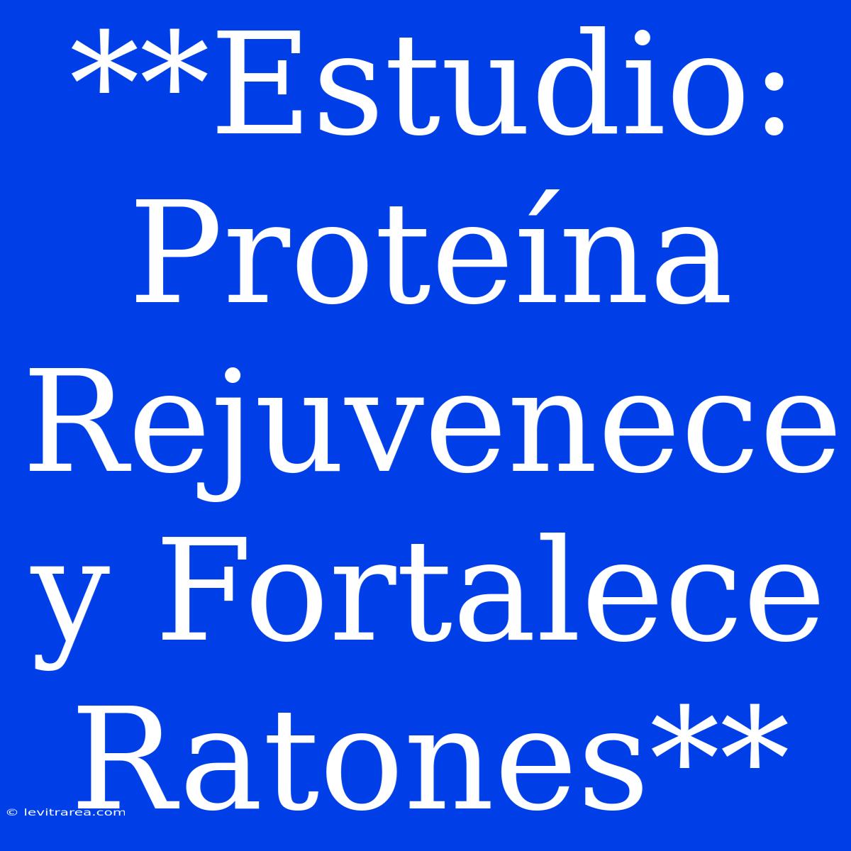 **Estudio: Proteína Rejuvenece Y Fortalece Ratones**