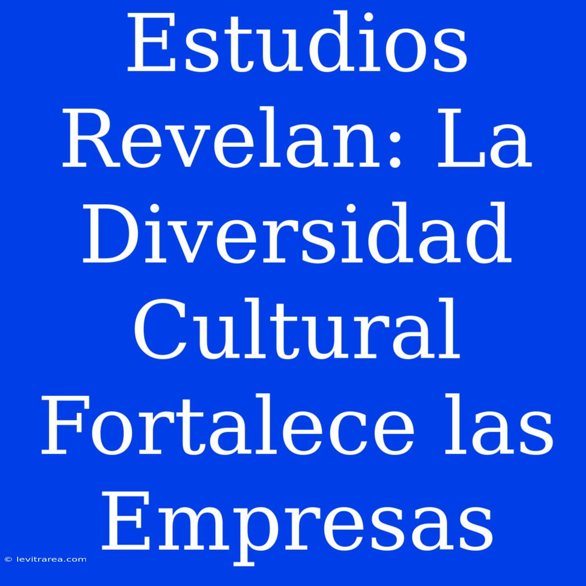 Estudios Revelan: La Diversidad Cultural Fortalece Las Empresas