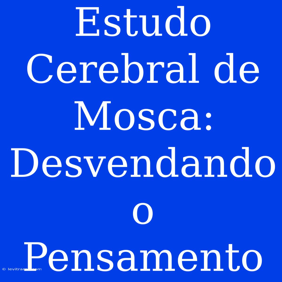 Estudo Cerebral De Mosca: Desvendando O Pensamento