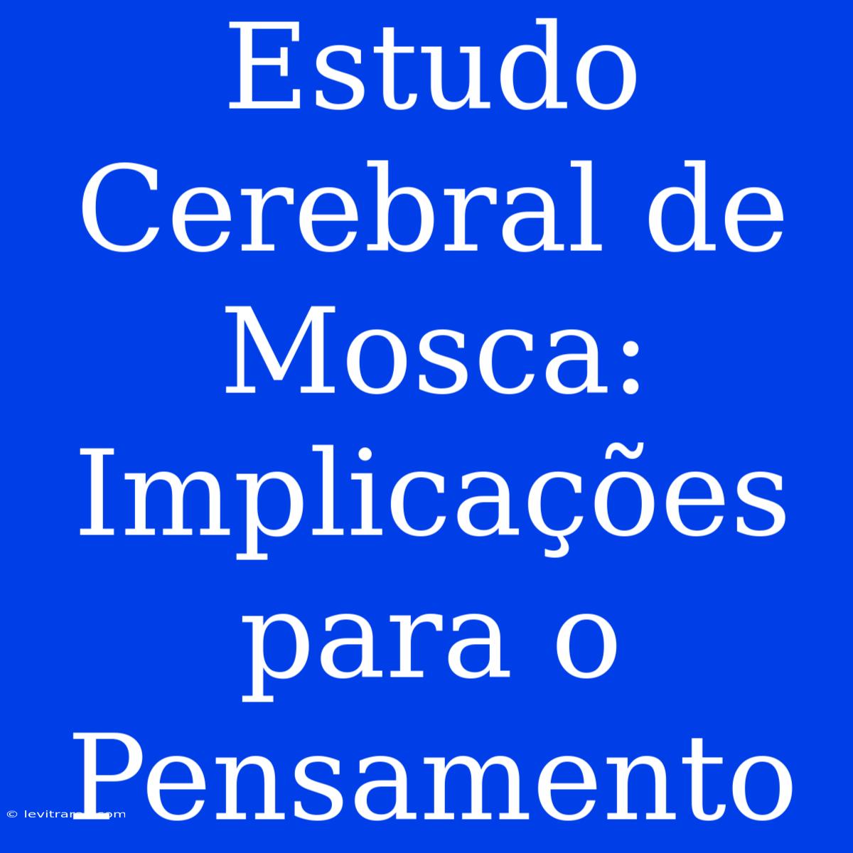 Estudo Cerebral De Mosca: Implicações Para O Pensamento