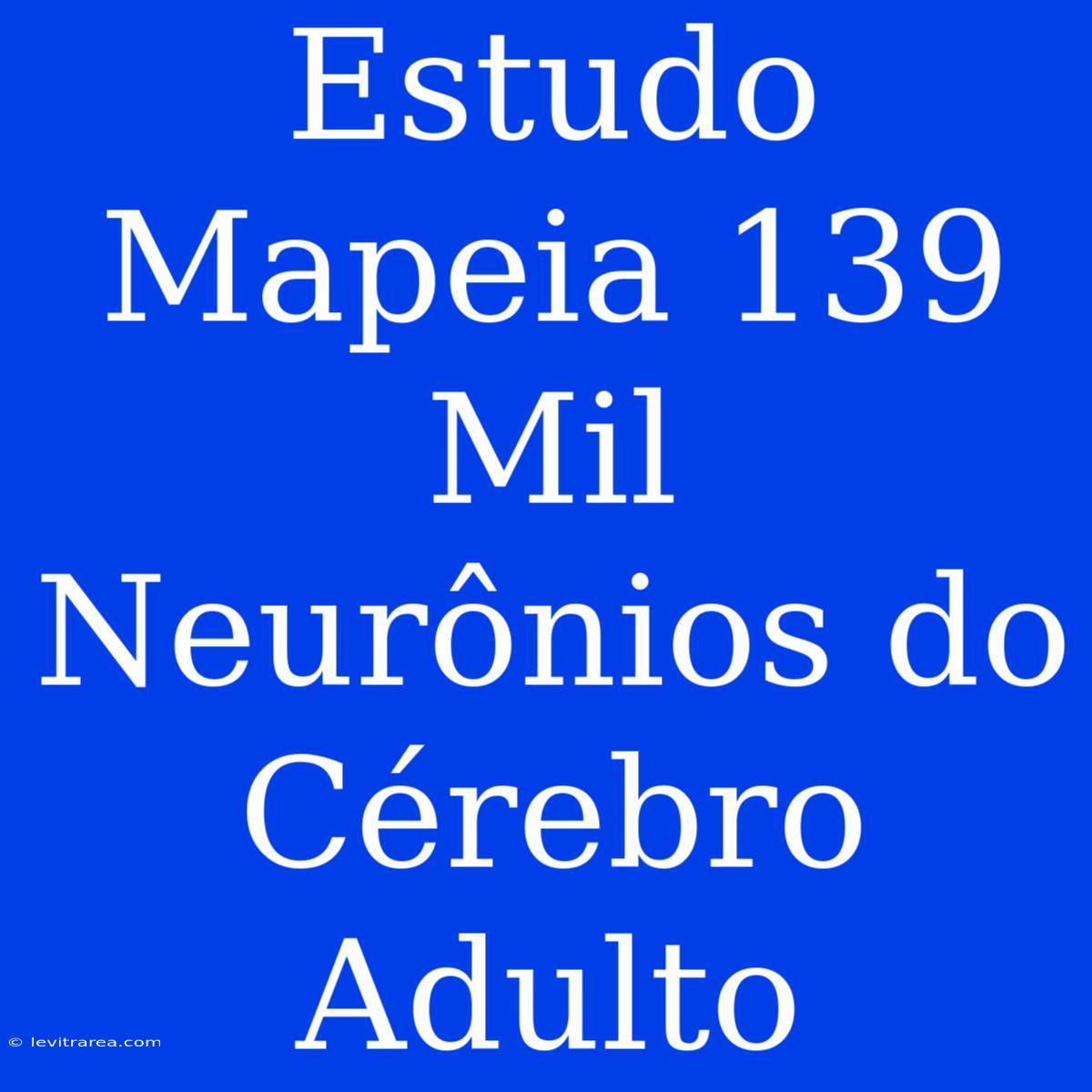 Estudo Mapeia 139 Mil Neurônios Do Cérebro Adulto