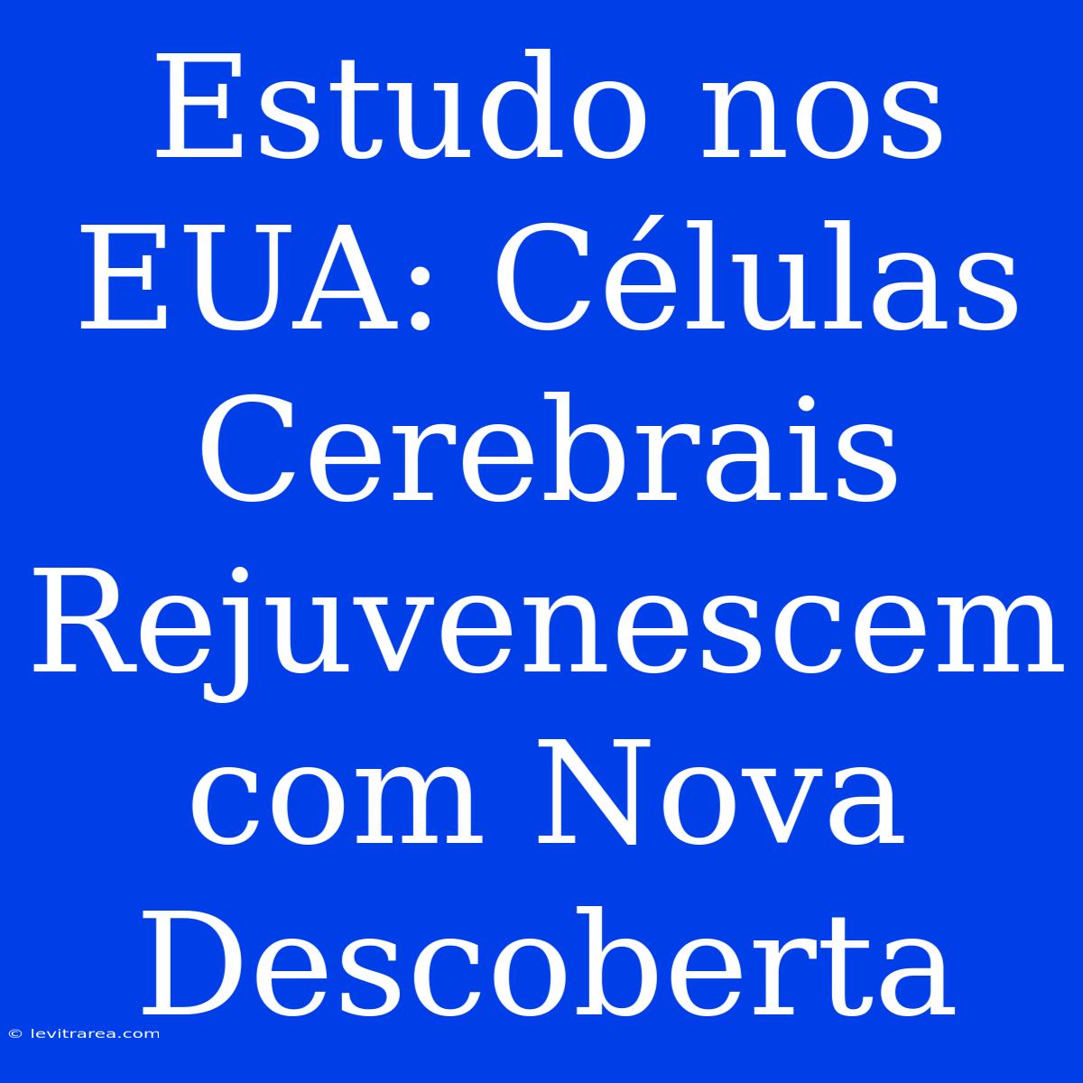 Estudo Nos EUA: Células Cerebrais Rejuvenescem Com Nova Descoberta