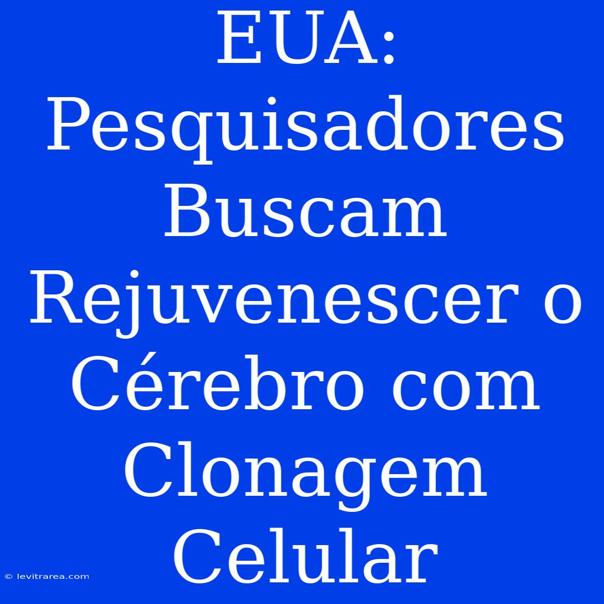 EUA: Pesquisadores Buscam Rejuvenescer O Cérebro Com Clonagem Celular