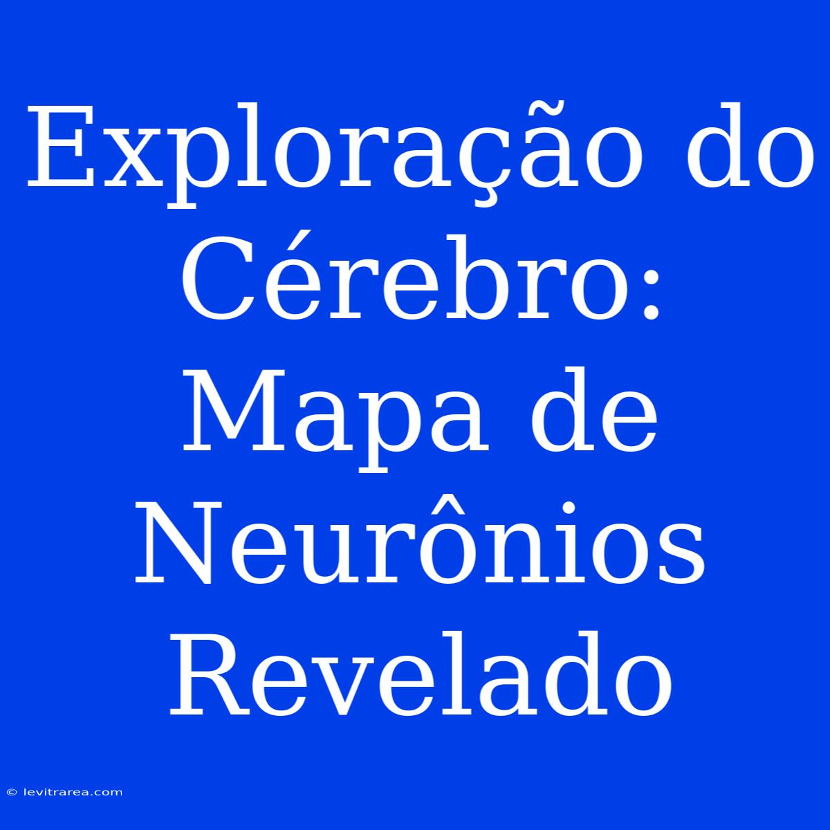 Exploração Do Cérebro: Mapa De Neurônios Revelado