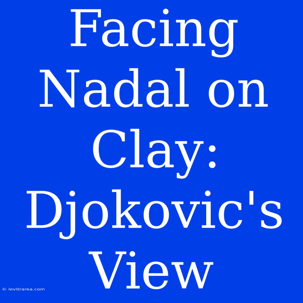 Facing Nadal On Clay: Djokovic's View