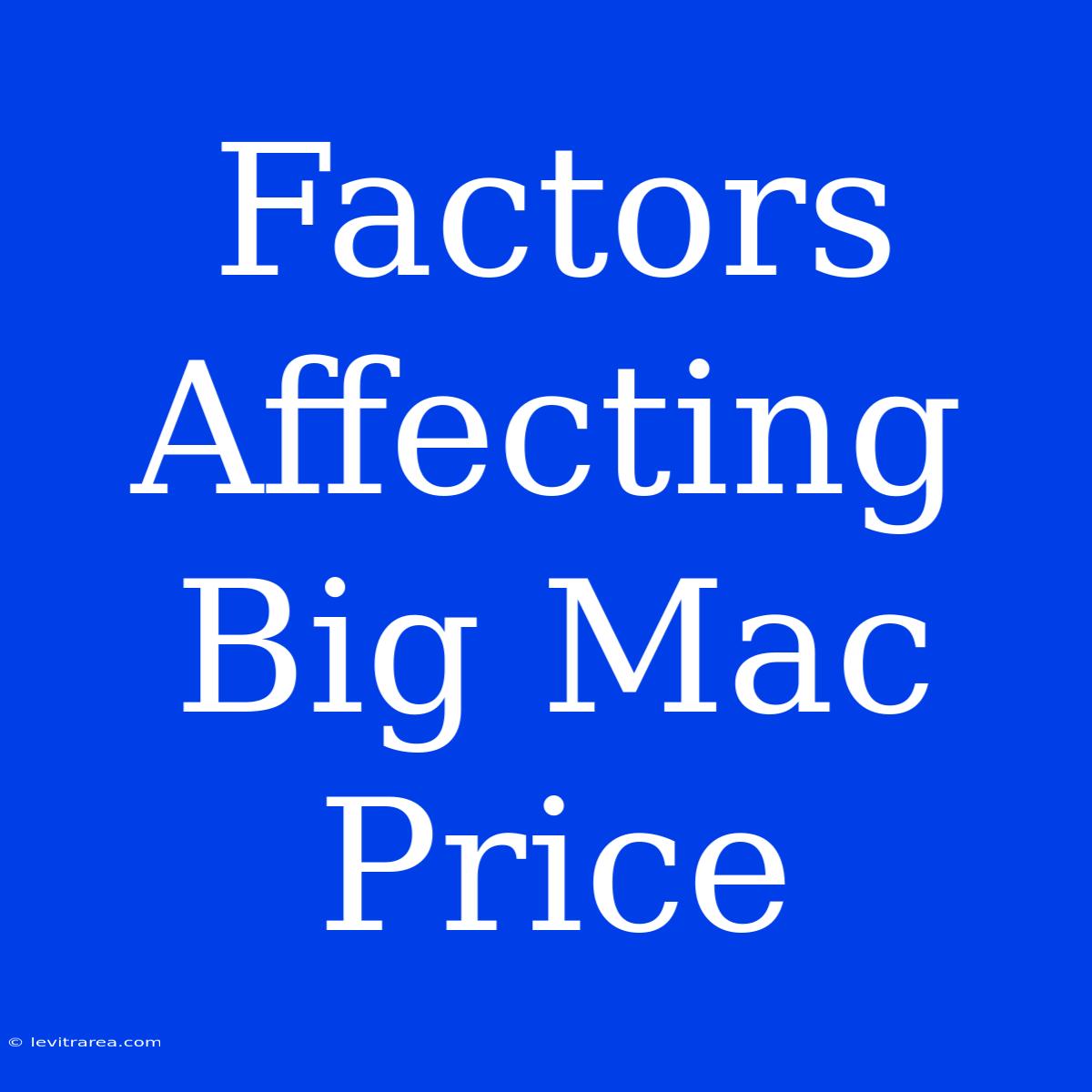 Factors Affecting Big Mac Price 