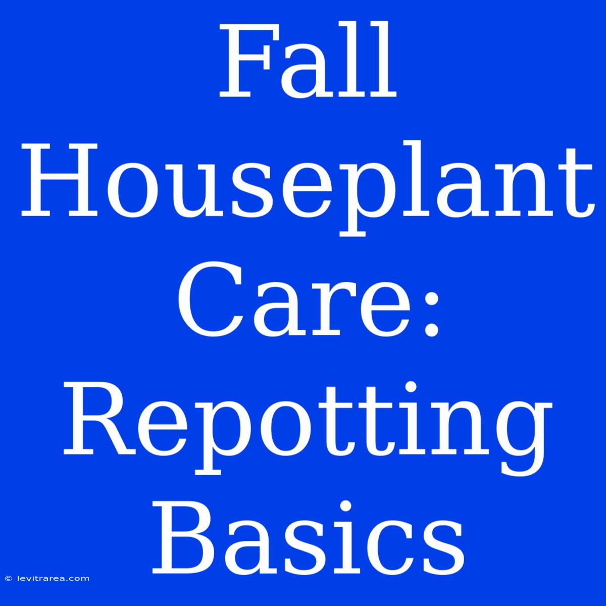 Fall Houseplant Care: Repotting Basics