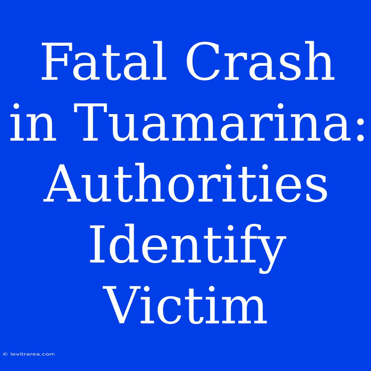 Fatal Crash In Tuamarina: Authorities Identify Victim