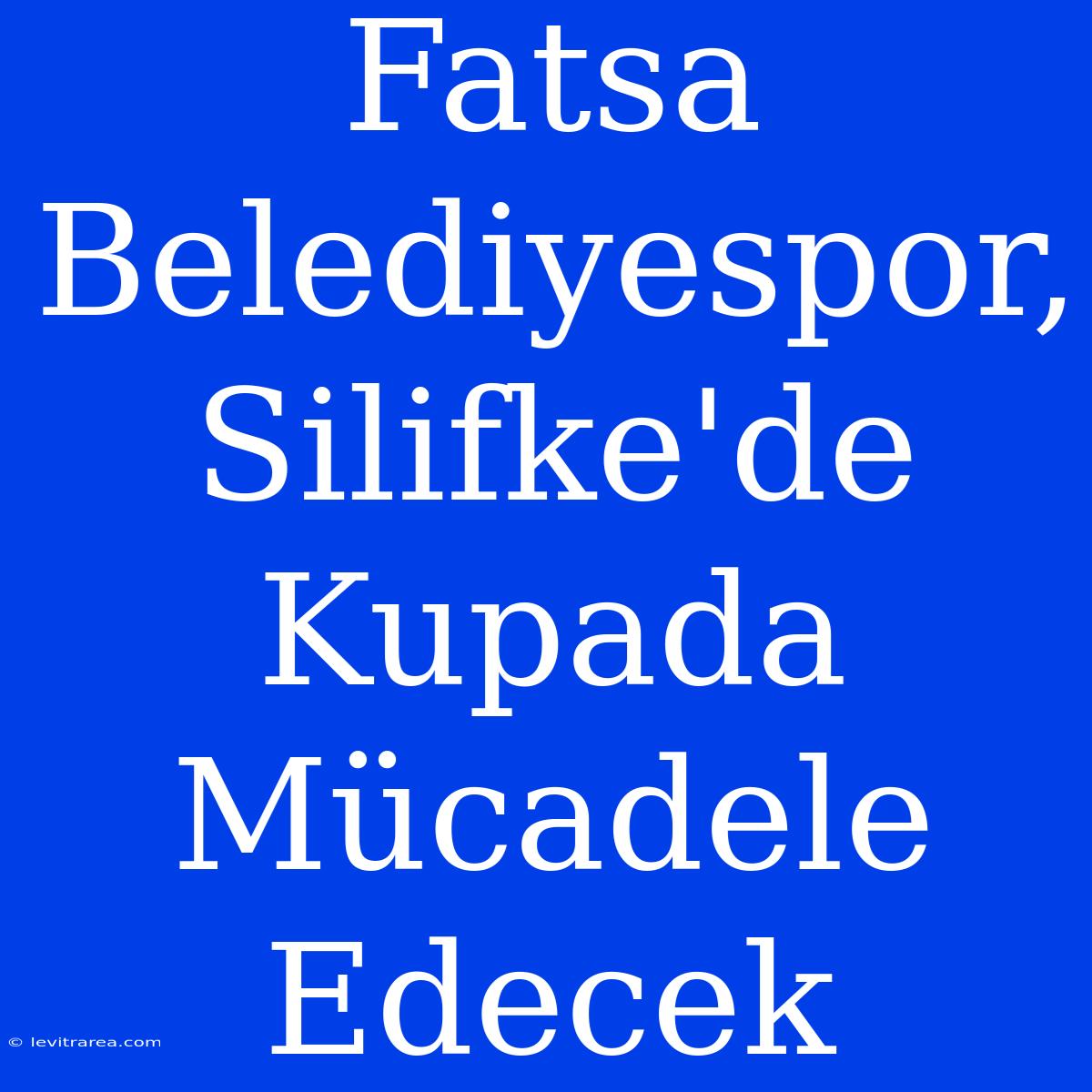 Fatsa Belediyespor, Silifke'de Kupada Mücadele Edecek