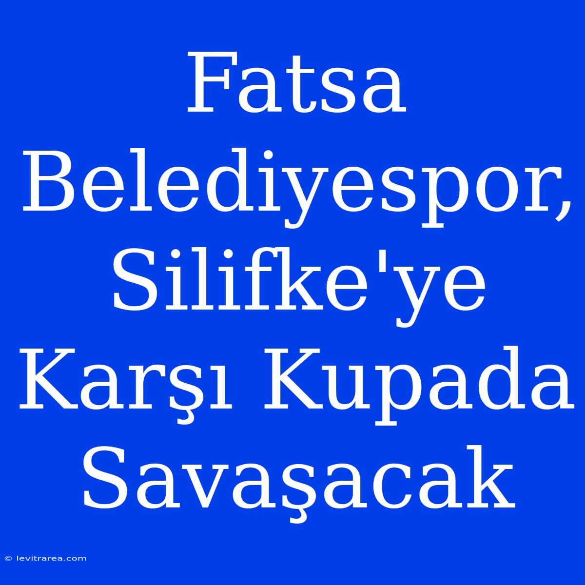 Fatsa Belediyespor, Silifke'ye Karşı Kupada Savaşacak 