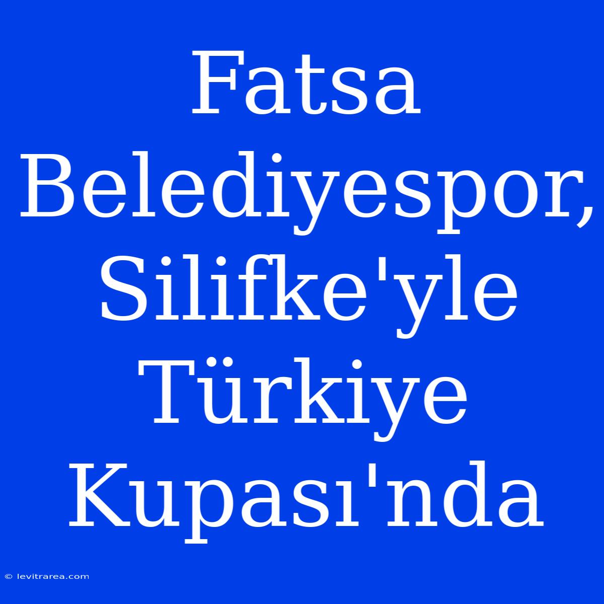 Fatsa Belediyespor, Silifke'yle Türkiye Kupası'nda