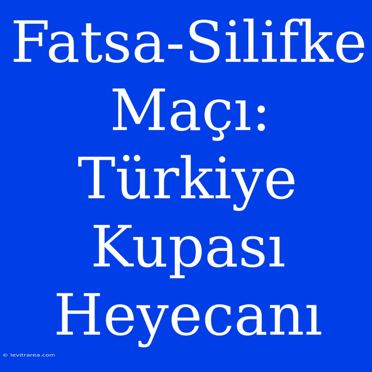 Fatsa-Silifke Maçı: Türkiye Kupası Heyecanı