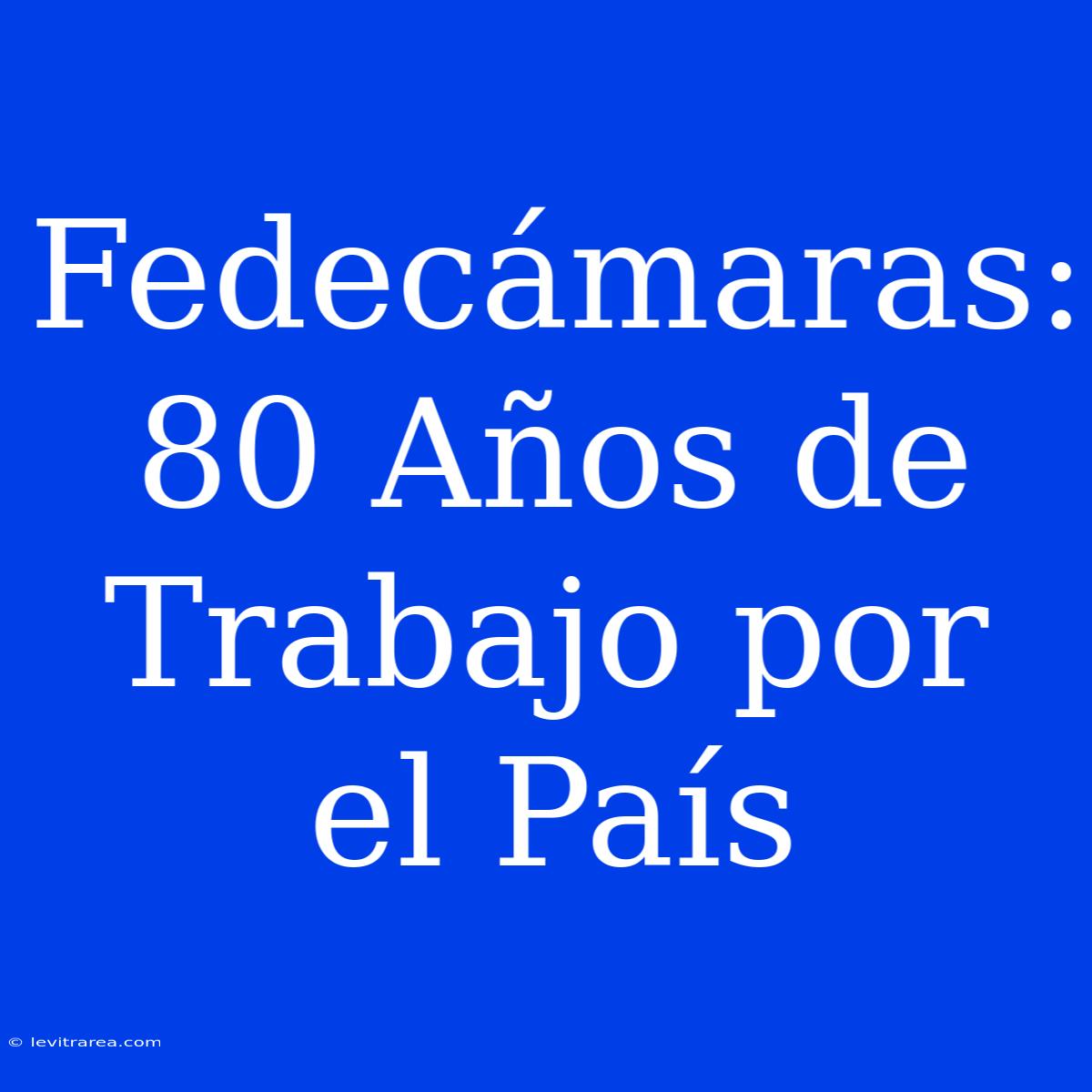 Fedecámaras: 80 Años De Trabajo Por El País 