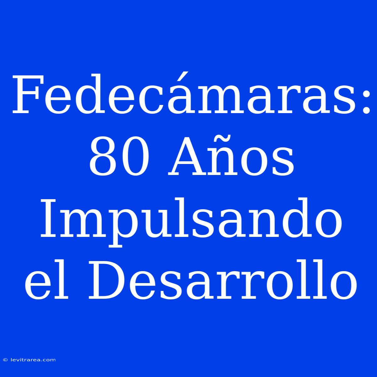 Fedecámaras: 80 Años Impulsando El Desarrollo