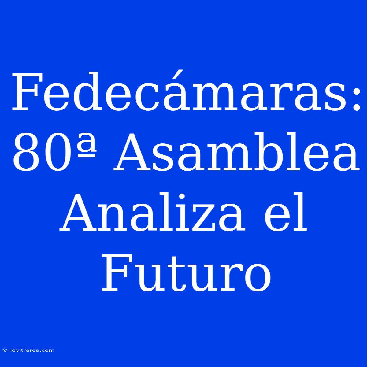 Fedecámaras: 80ª Asamblea Analiza El Futuro