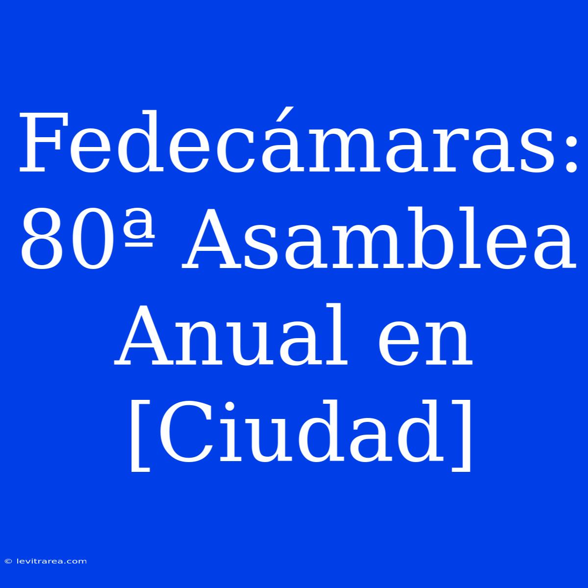 Fedecámaras: 80ª Asamblea Anual En [Ciudad]