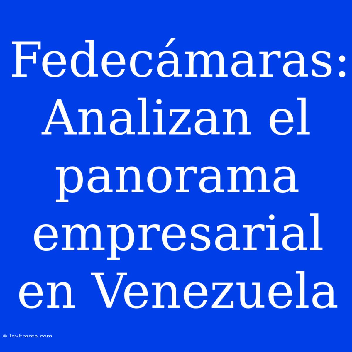 Fedecámaras: Analizan El Panorama Empresarial En Venezuela