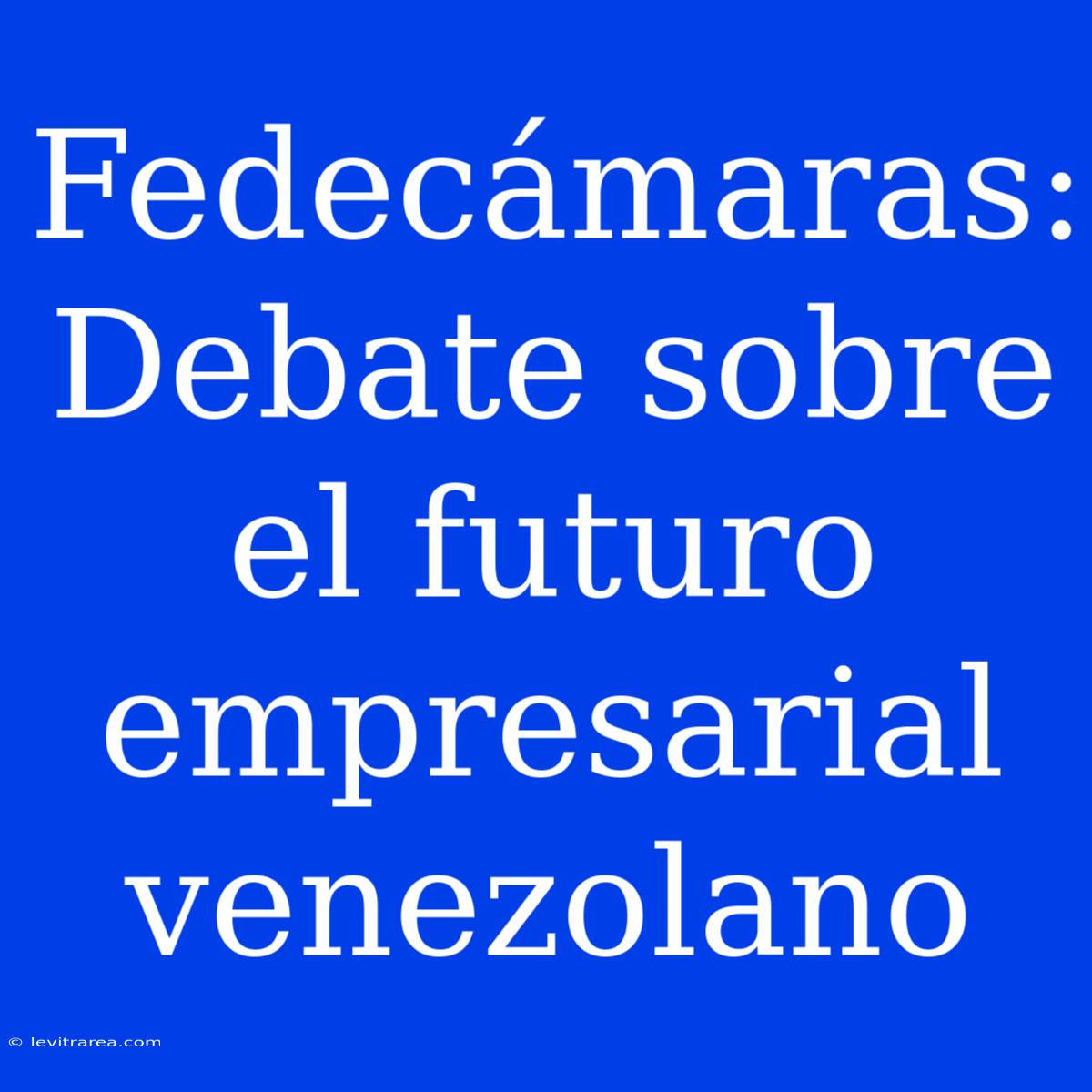 Fedecámaras: Debate Sobre El Futuro Empresarial Venezolano