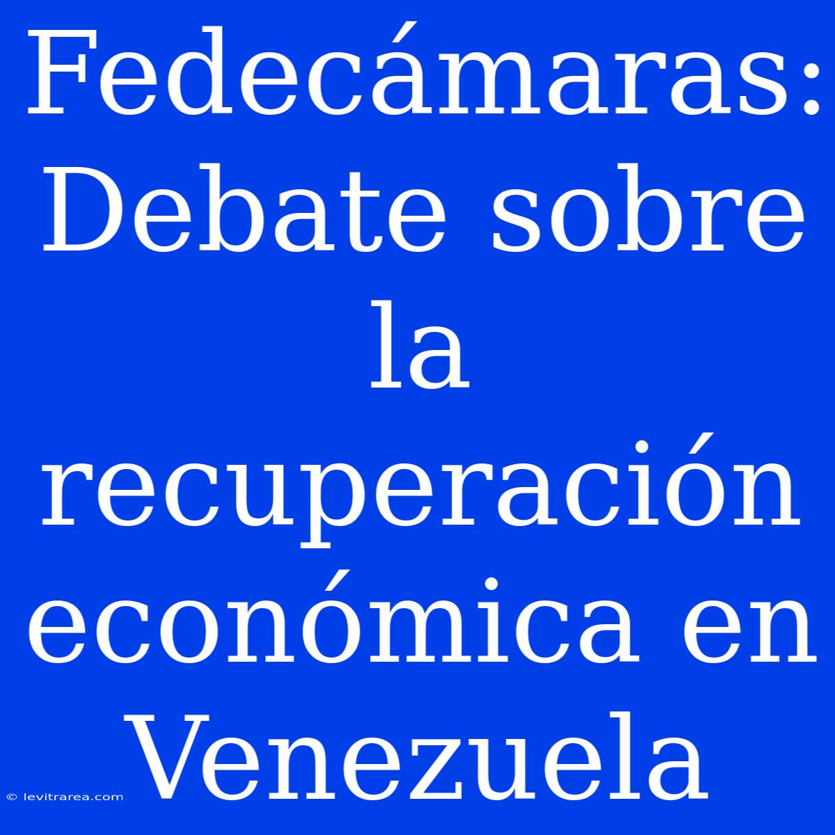 Fedecámaras: Debate Sobre La Recuperación Económica En Venezuela