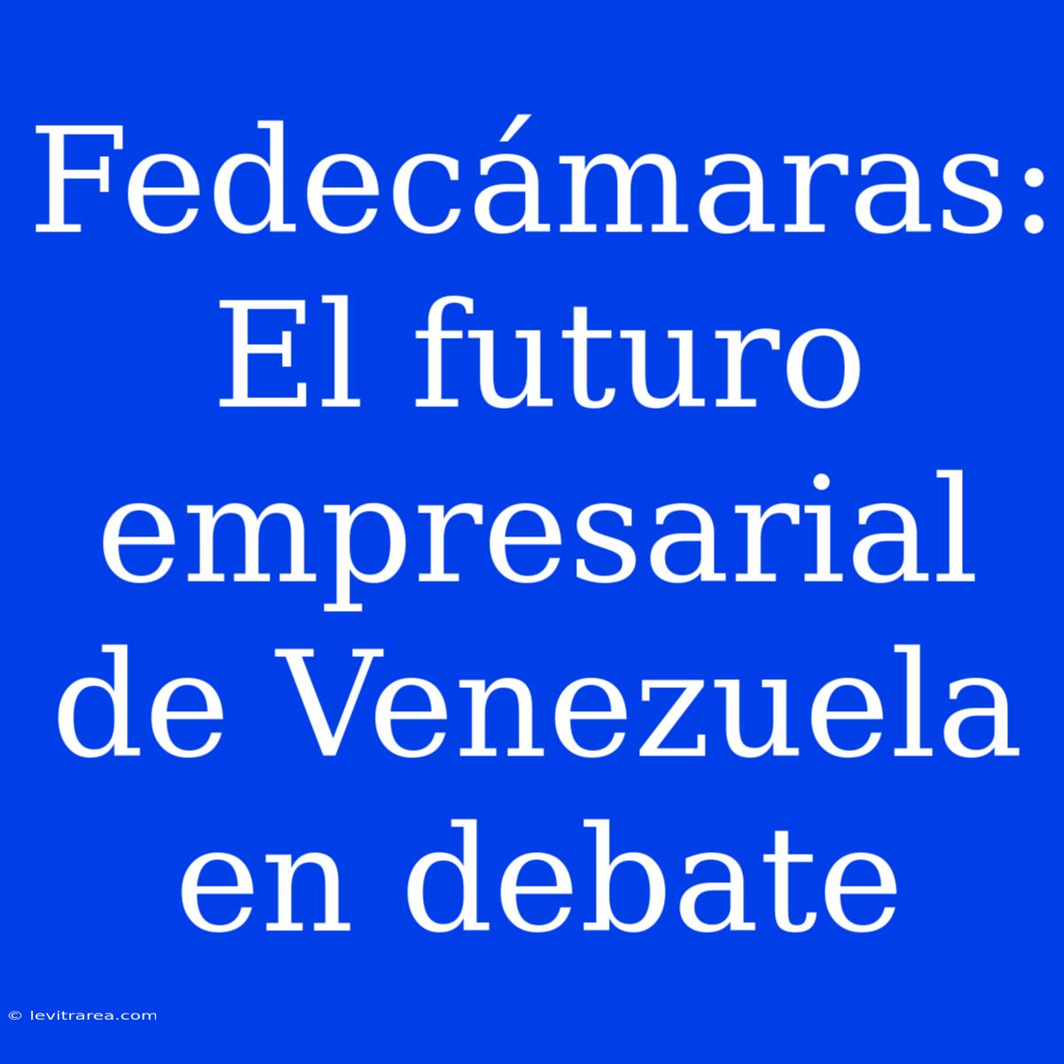 Fedecámaras: El Futuro Empresarial De Venezuela En Debate