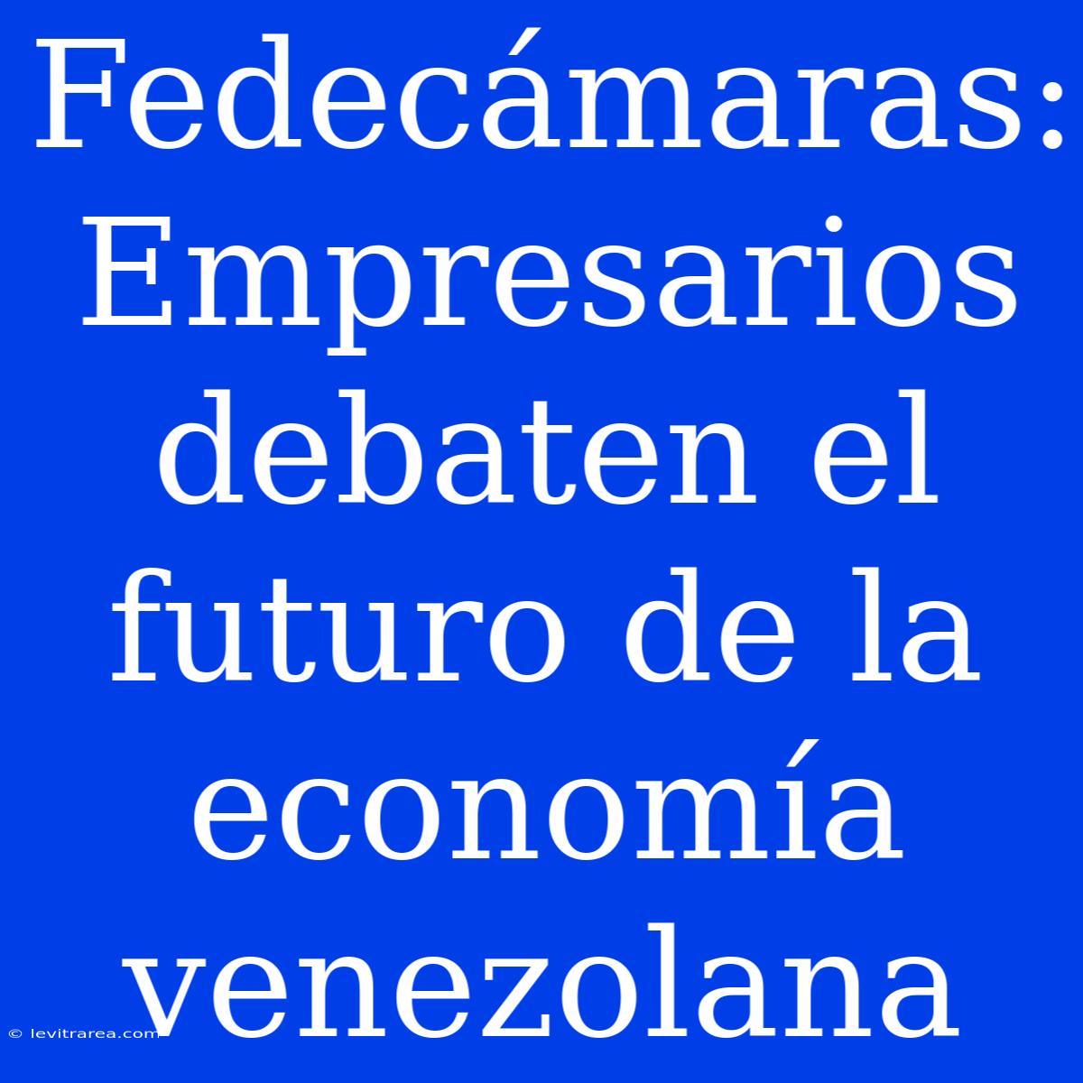 Fedecámaras: Empresarios Debaten El Futuro De La Economía Venezolana 