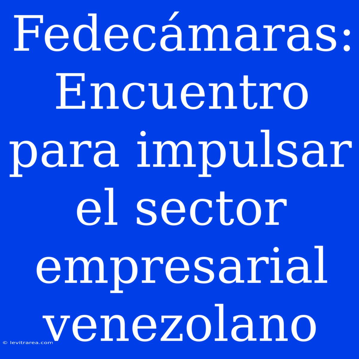 Fedecámaras: Encuentro Para Impulsar El Sector Empresarial Venezolano