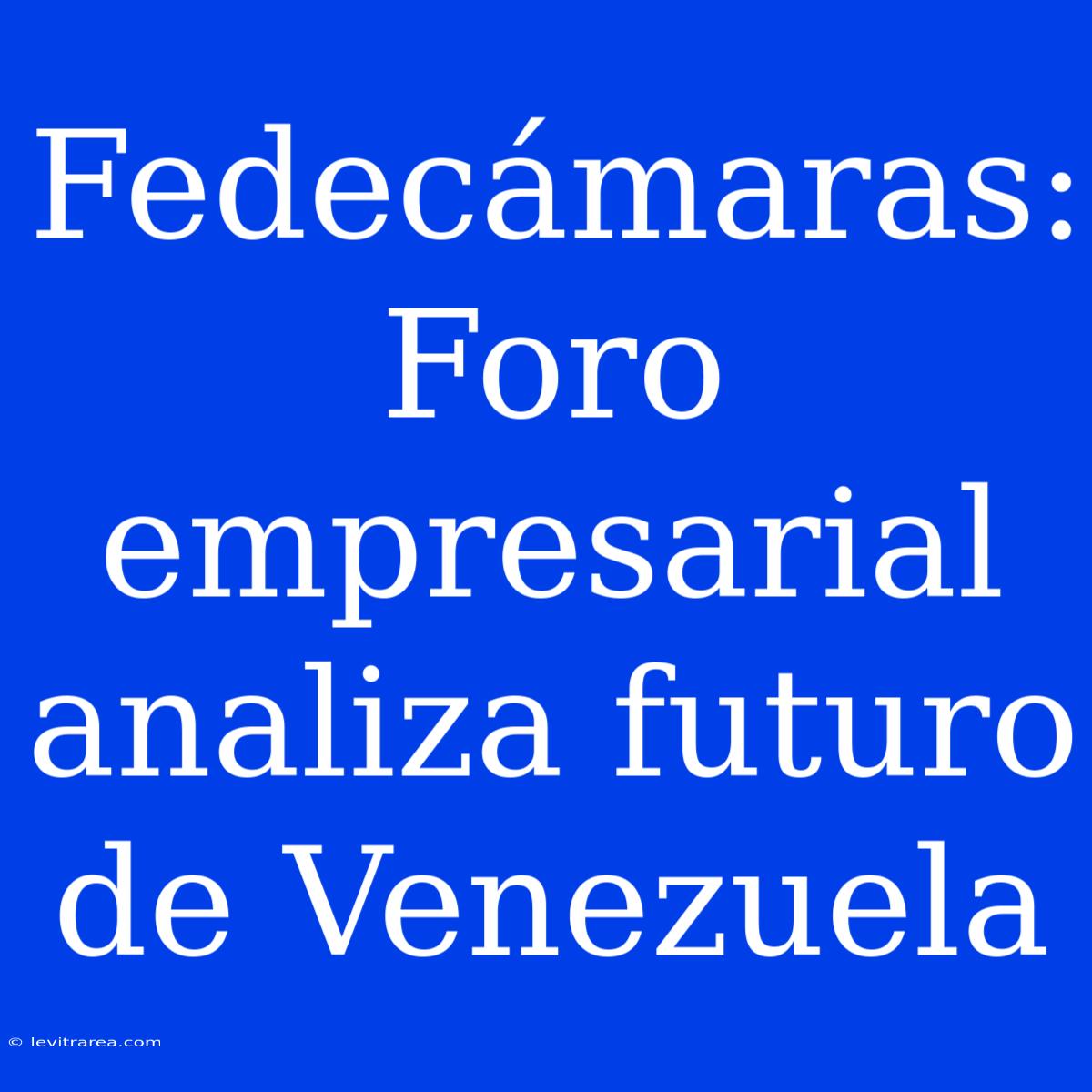 Fedecámaras: Foro Empresarial Analiza Futuro De Venezuela