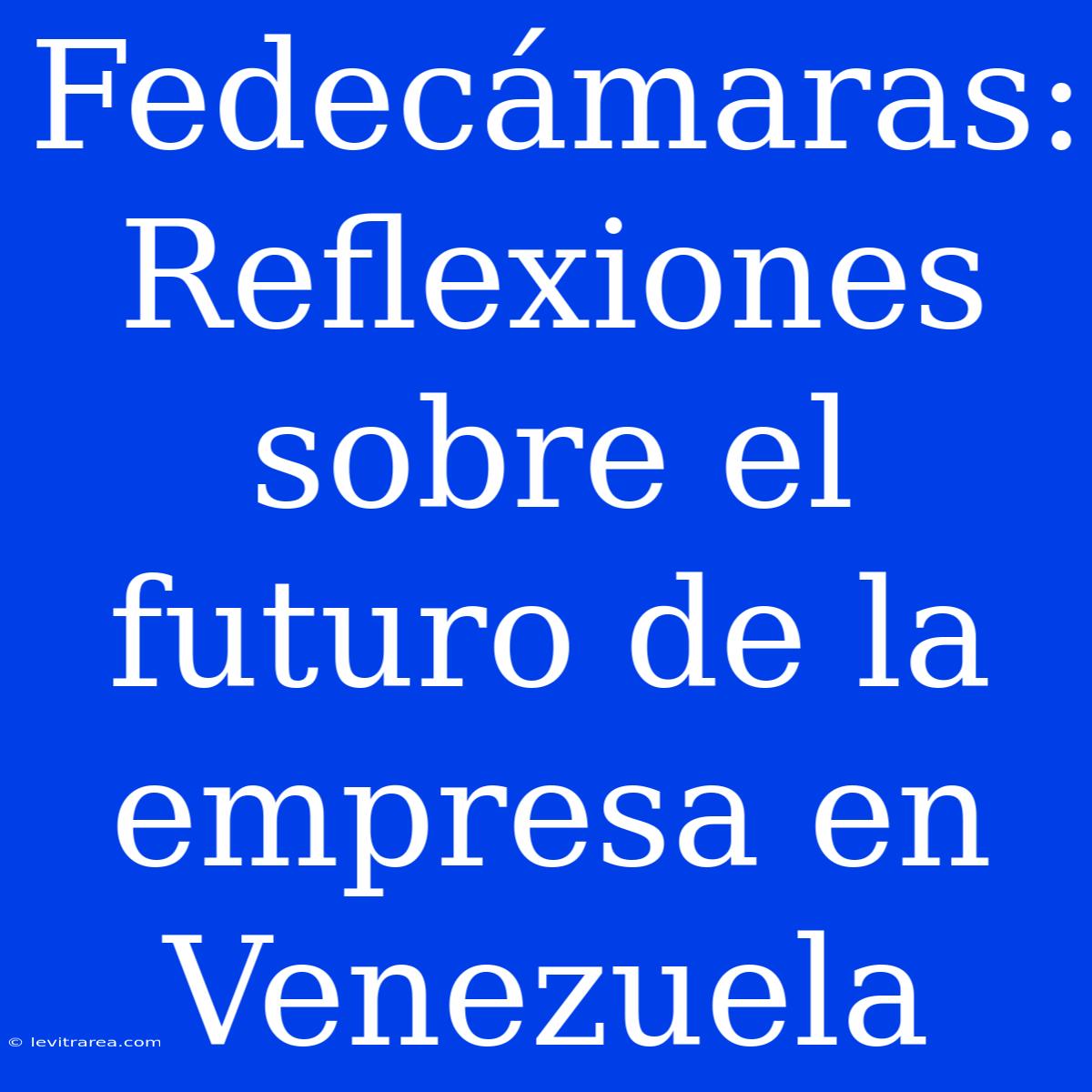 Fedecámaras: Reflexiones Sobre El Futuro De La Empresa En Venezuela