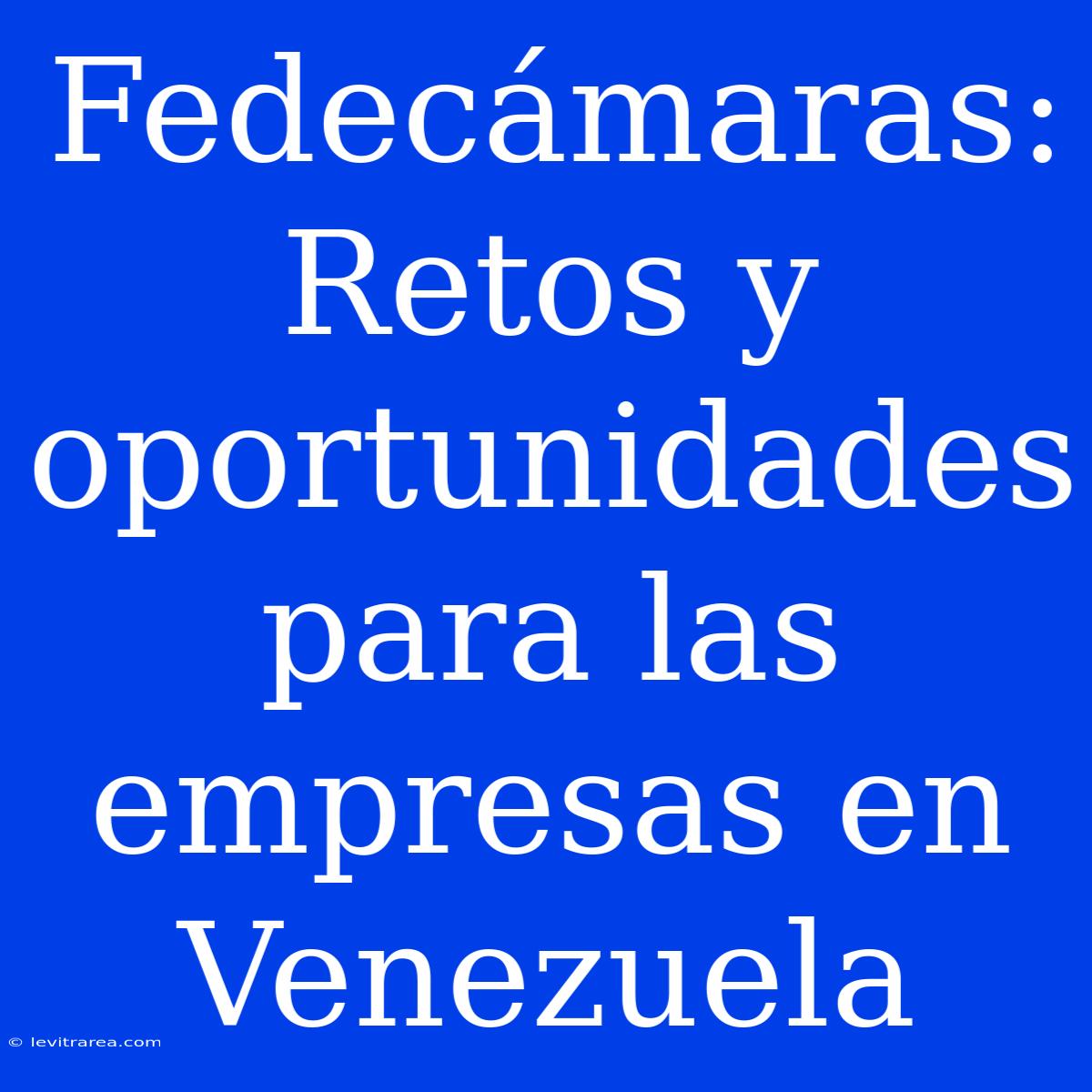 Fedecámaras: Retos Y Oportunidades Para Las Empresas En Venezuela