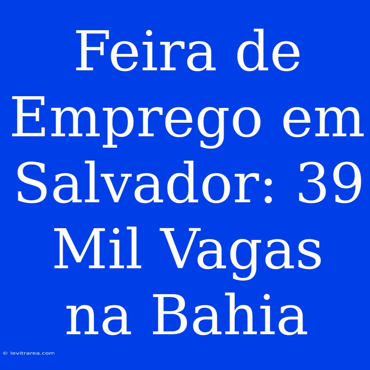 Feira De Emprego Em Salvador: 39 Mil Vagas Na Bahia 