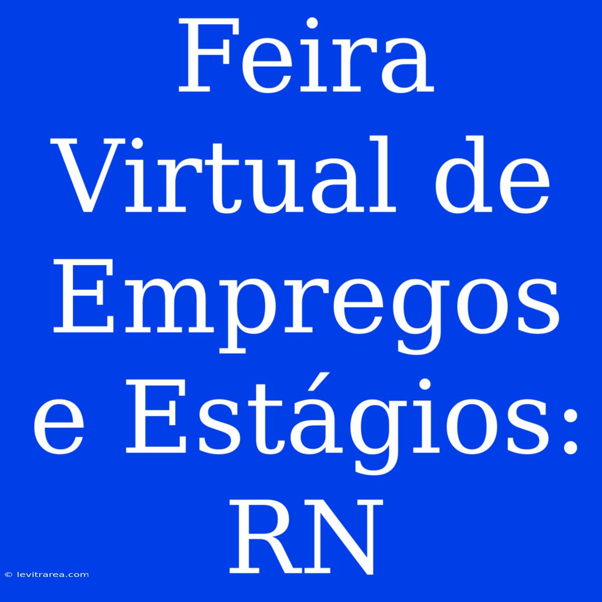 Feira Virtual De Empregos E Estágios: RN