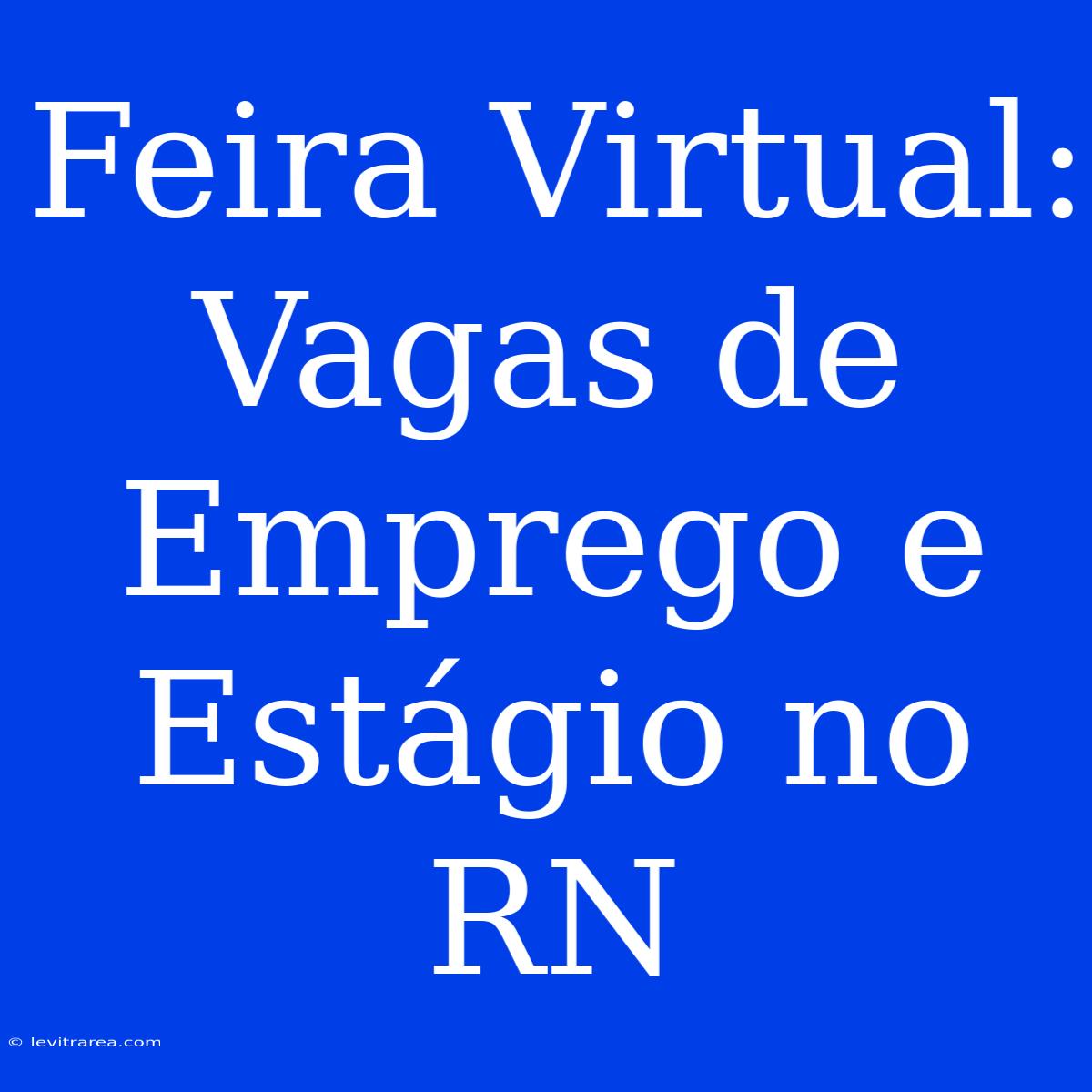 Feira Virtual: Vagas De Emprego E Estágio No RN