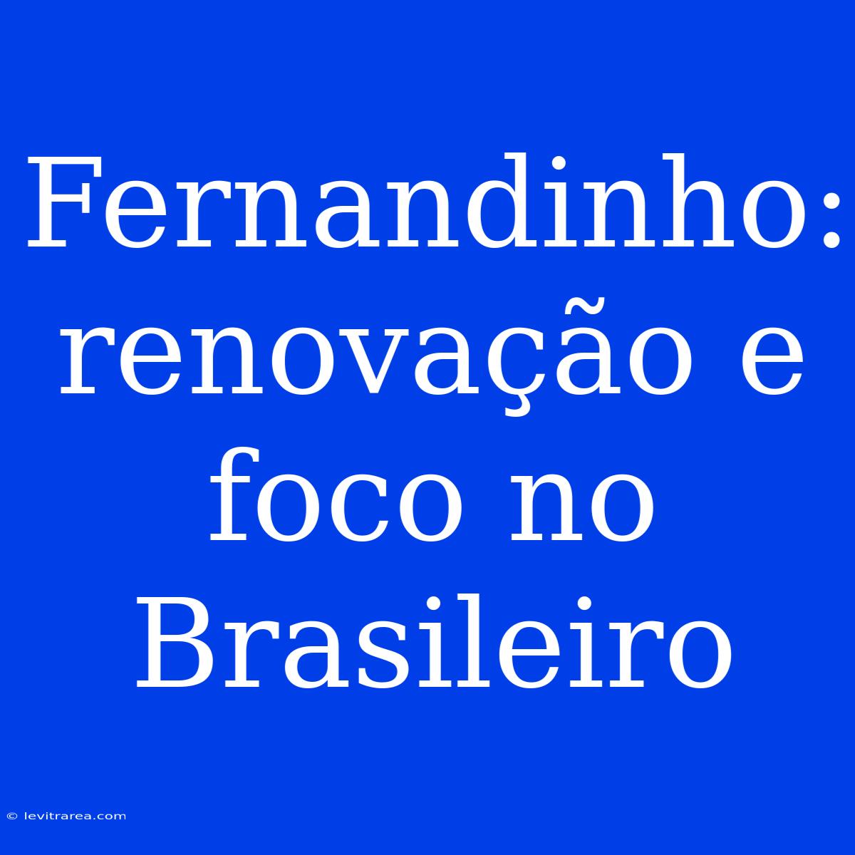 Fernandinho: Renovação E Foco No Brasileiro