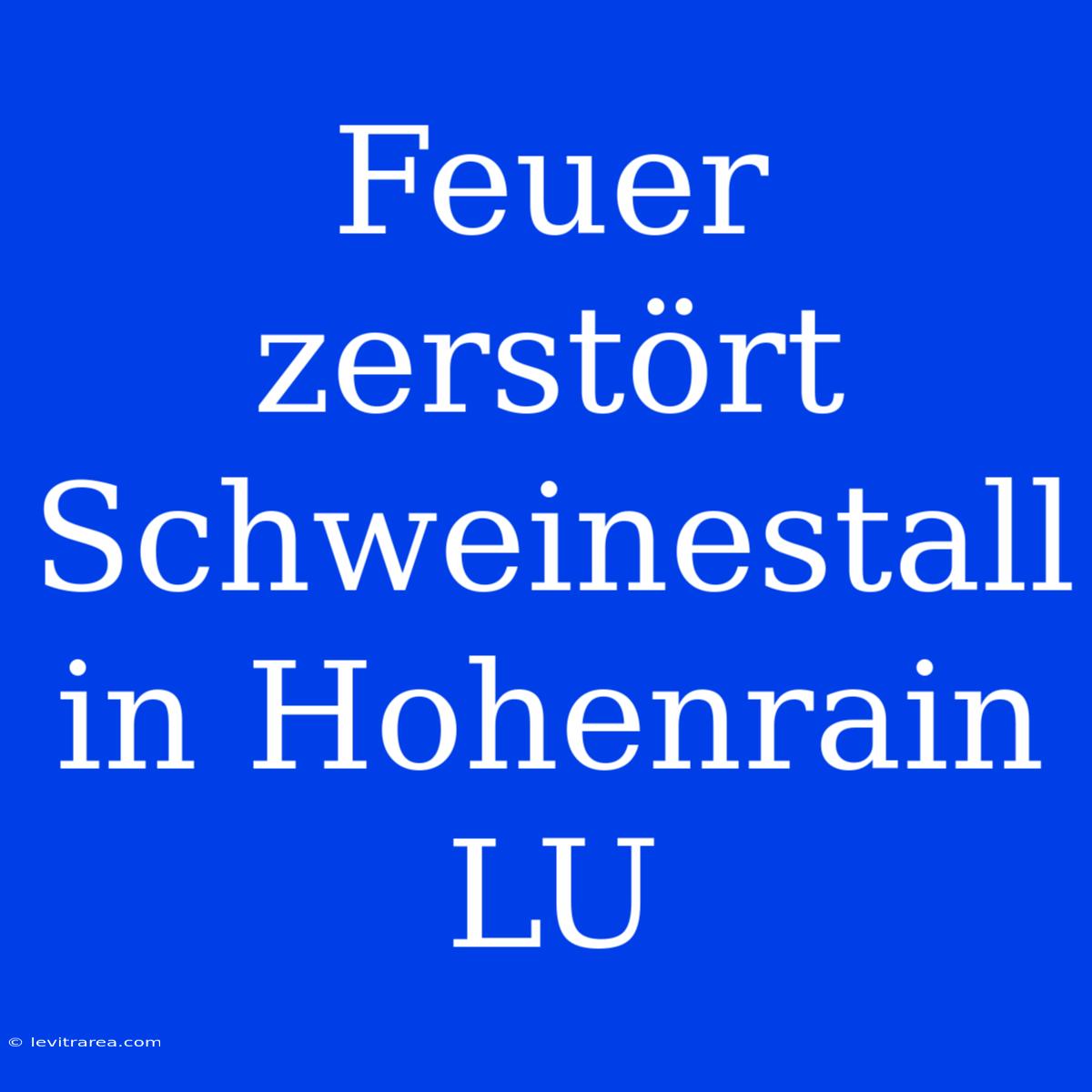 Feuer Zerstört Schweinestall In Hohenrain LU