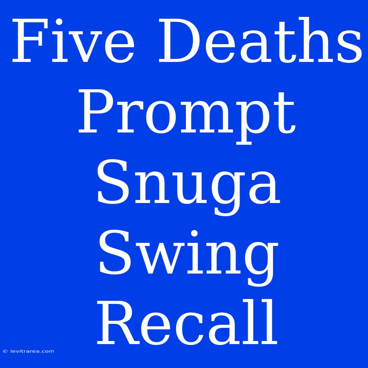 Five Deaths Prompt Snuga Swing Recall