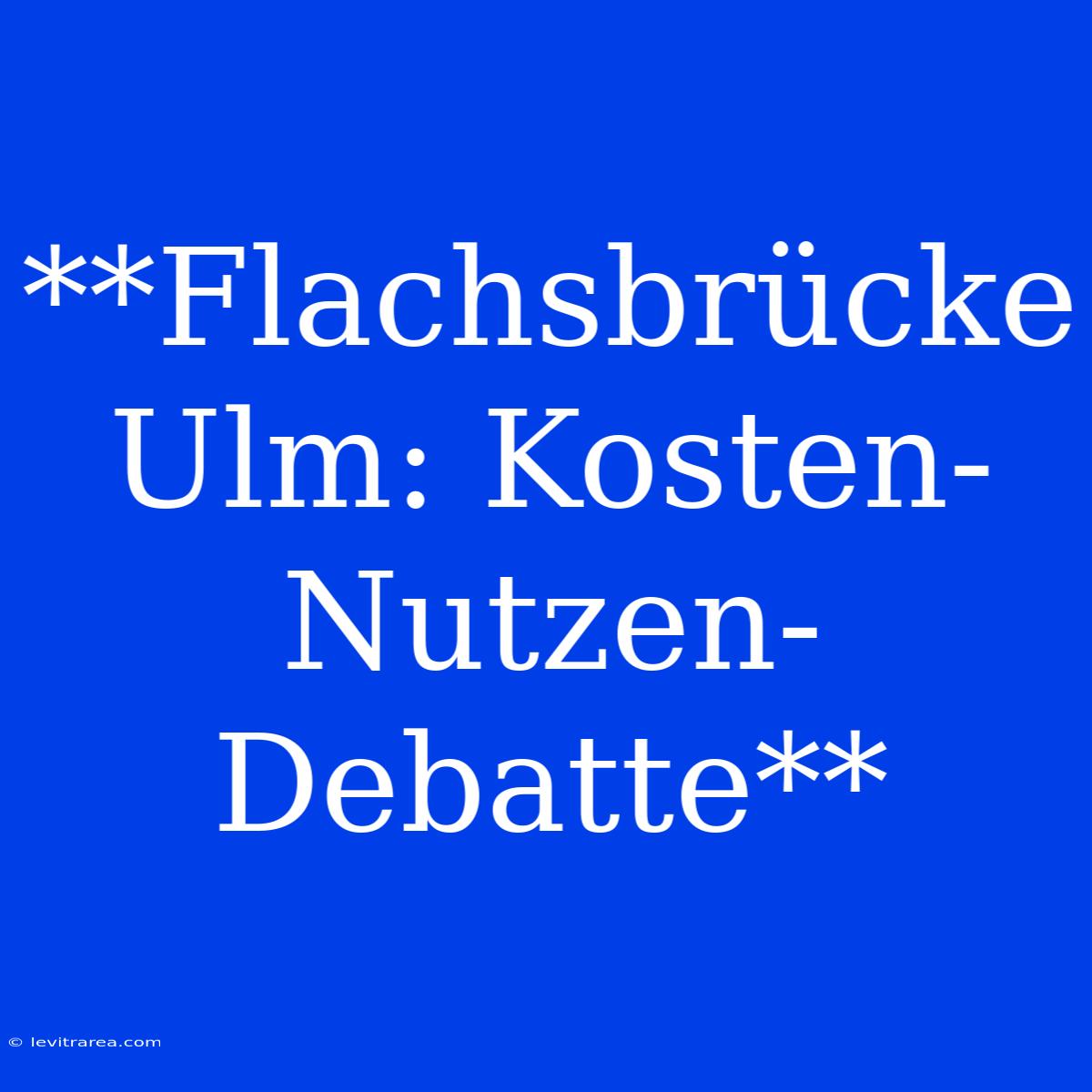 **Flachsbrücke Ulm: Kosten-Nutzen-Debatte**