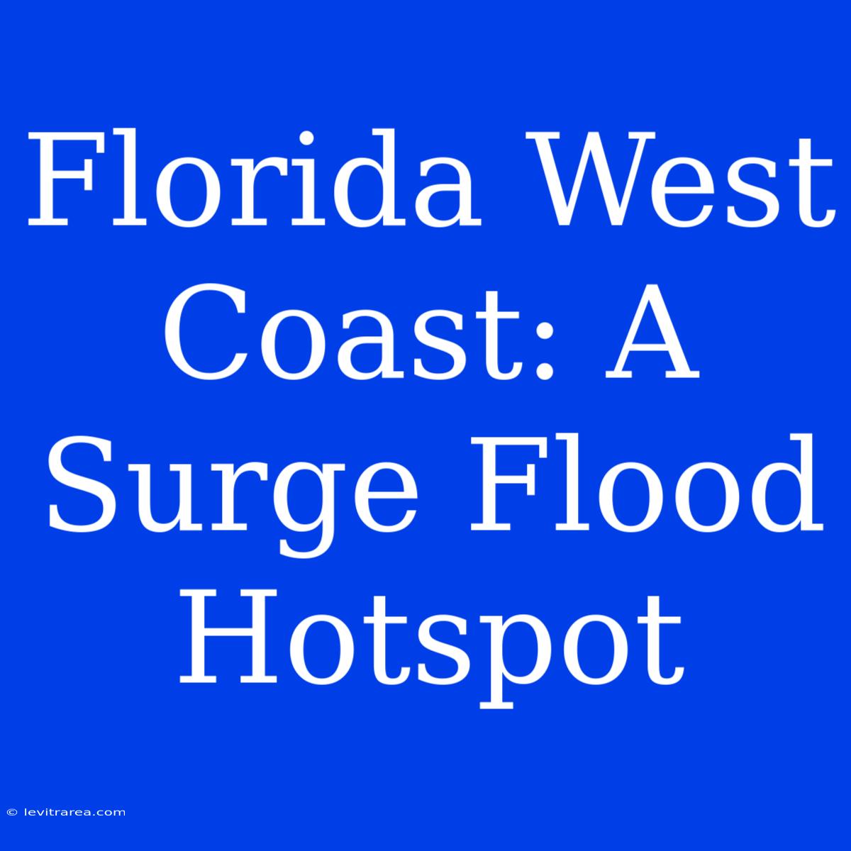 Florida West Coast: A Surge Flood Hotspot