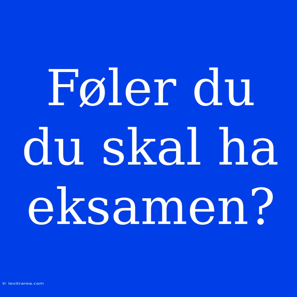 Føler Du Du Skal Ha Eksamen?