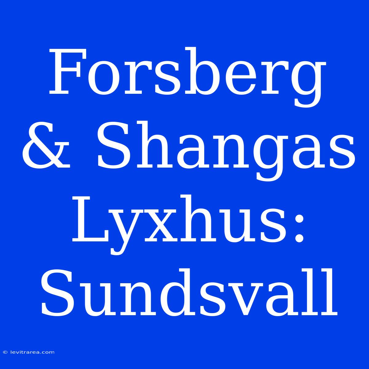 Forsberg & Shangas Lyxhus: Sundsvall