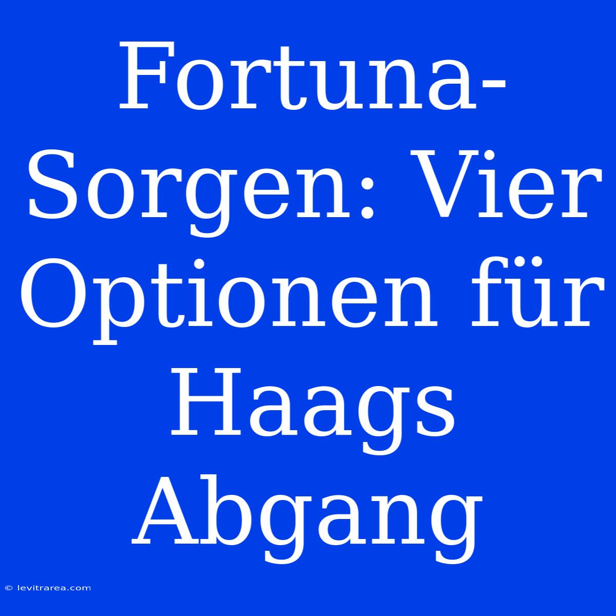 Fortuna-Sorgen: Vier Optionen Für Haags Abgang