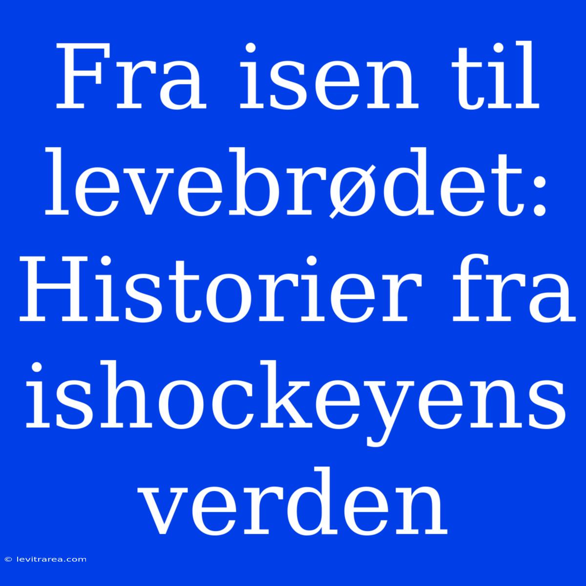 Fra Isen Til Levebrødet: Historier Fra Ishockeyens Verden