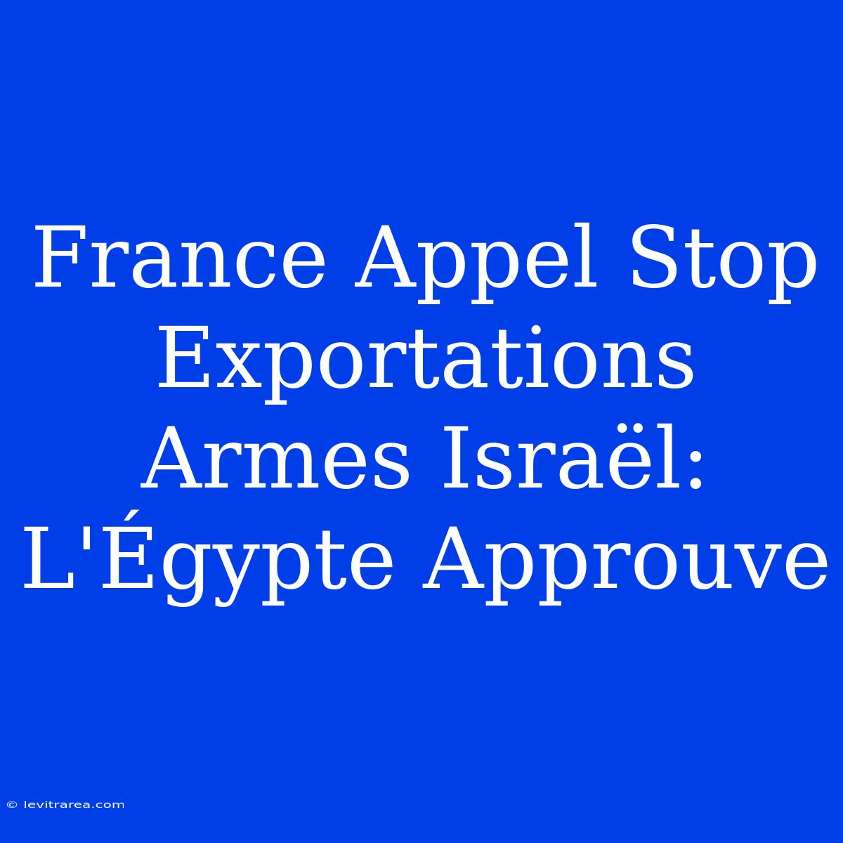 France Appel Stop Exportations Armes Israël: L'Égypte Approuve