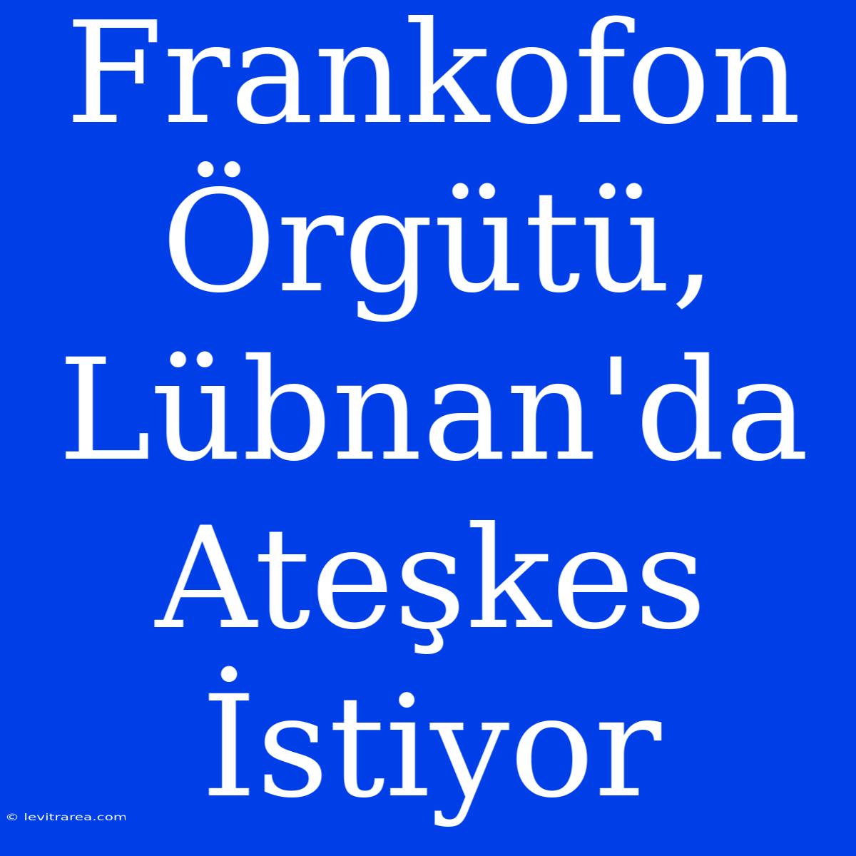 Frankofon Örgütü, Lübnan'da Ateşkes İstiyor