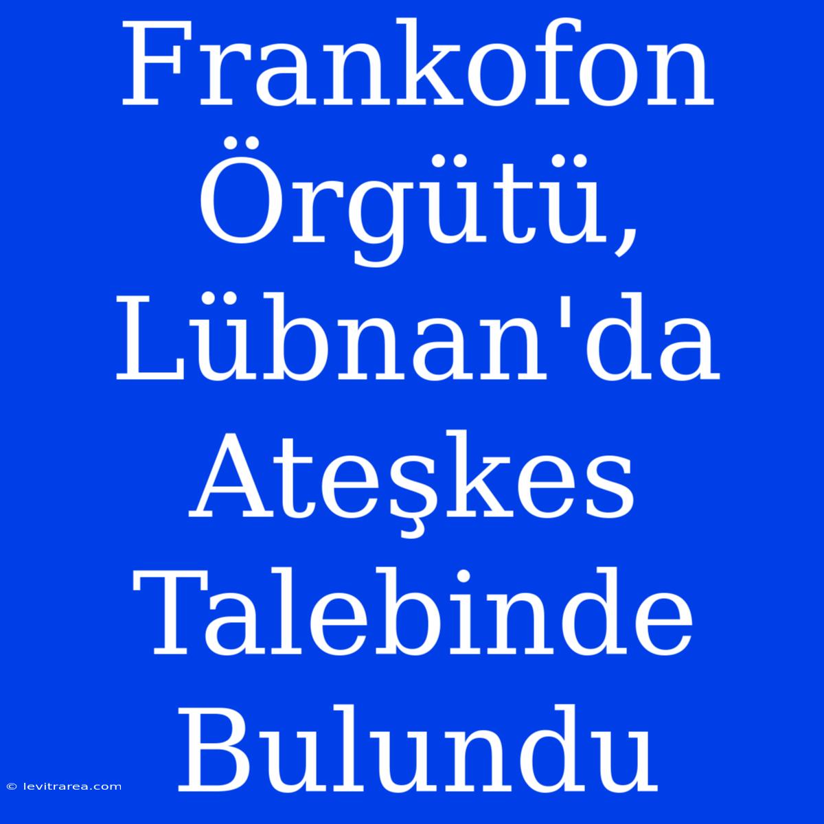 Frankofon Örgütü, Lübnan'da Ateşkes Talebinde Bulundu