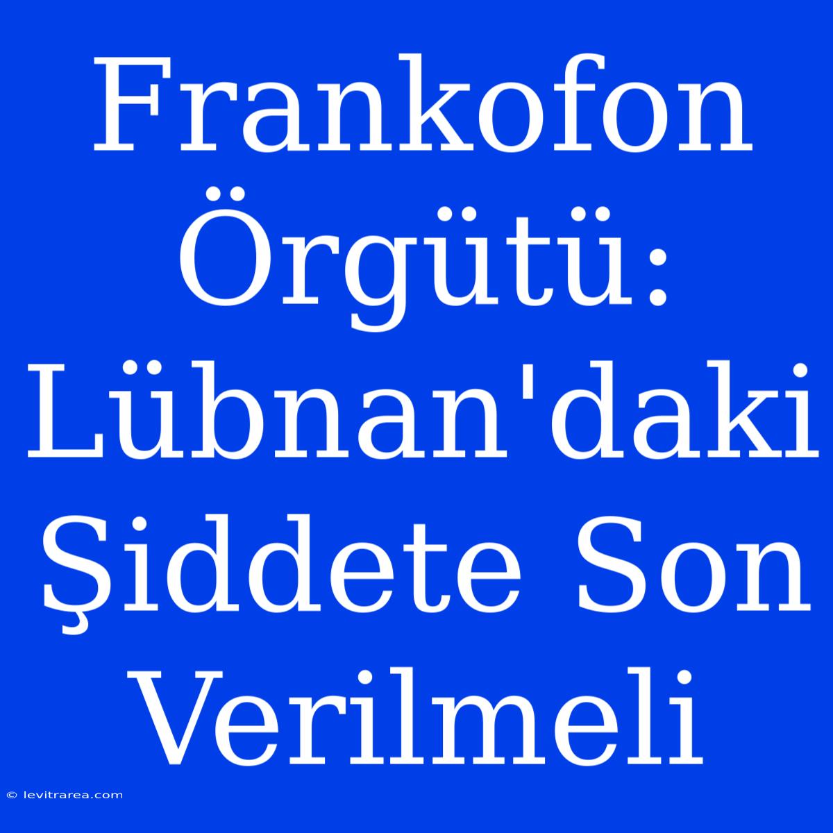 Frankofon Örgütü: Lübnan'daki Şiddete Son Verilmeli