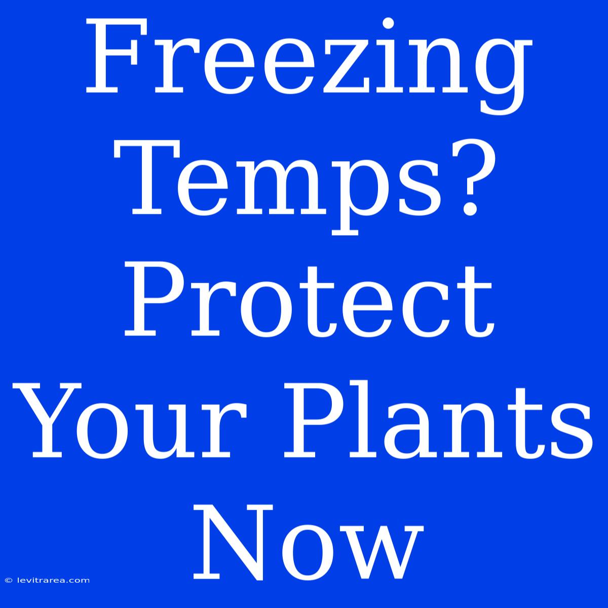 Freezing Temps? Protect Your Plants Now